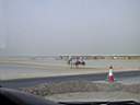 d_Img_0070.jpg